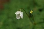 Dcim5963/DSC_6621