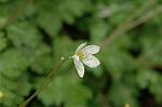 Dcim5963/DSC_6623