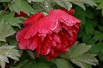 Dcim5963/DSC_6638