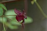 Dcim5963/DSC_6659