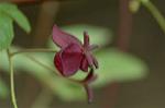 Dcim5964/DSC_6660