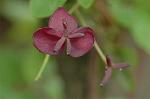 Dcim5964/DSC_6663