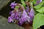Dcim5964/DSC_6684