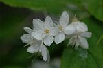 Dcim5964/DSC_6695