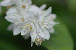 Dcim5964/DSC_6699