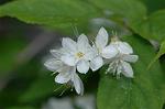 Dcim5964/DSC_6703