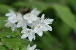 Dcim5964/DSC_6712