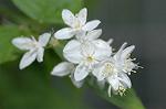 Dcim5964/DSC_6714