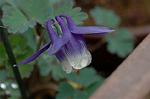 Dcim5964/DSC_6722