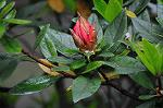 Dcim5965/DSC_2925