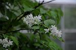 Dcim5965/DSC_3002