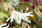 Dcim5967/DSC_6807