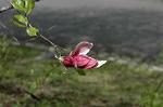 Dcim5967/DSC_6847