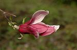 Dcim5967/DSC_6851