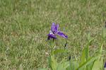 Dcim5967/DSC_6879