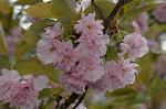 Dcim5967/DSC_6880