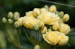 Dcim5967/DSC_6897