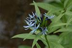 Dcim5968/DSC_7030