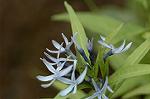 Dcim5968/DSC_7042
