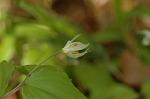 Dcim5968/DSC_7070