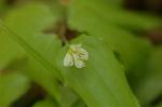 Dcim5968/DSC_7079