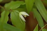 Dcim5968/DSC_7082