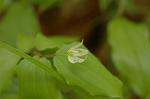 Dcim5968/DSC_7086