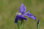 Dcim5969/DSC_3216