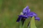 Dcim5969/DSC_3219