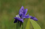 Dcim5969/DSC_3220