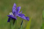 Dcim5969/DSC_3222