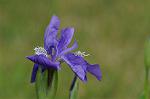 Dcim5969/DSC_3223