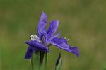 Dcim5969/DSC_3225