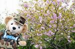 Dcim5969/DSC_3231