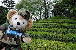 Dcim5969/DSC_3237
