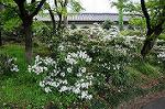 Dcim5969/DSC_3238