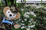Dcim5969/DSC_3241