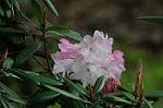 Dcim5969/DSC_3255