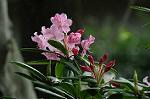 Dcim5969/DSC_3257