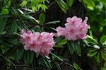 Dcim5969/DSC_3267