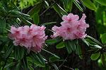 Dcim5969/DSC_3270