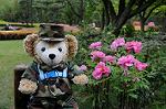 Dcim5970/DSC_3357