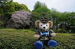 Dcim5970/DSC_3376