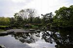 Dcim5971/DSC_3412