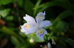 Dcim5972/DSC_3525