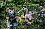 Dcim5972/DSC_3536