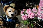 Dcim5972/DSC_3592