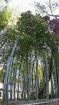 Dcim5973/DSC00226