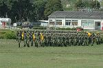Dcim5974/DSC_7105