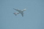 Dcim5976/DSC_7356